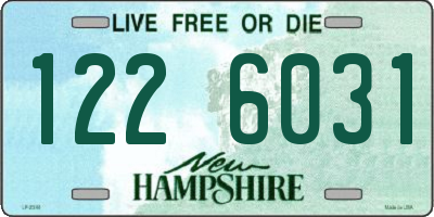 NH license plate 1226031