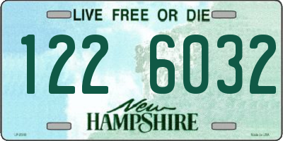 NH license plate 1226032
