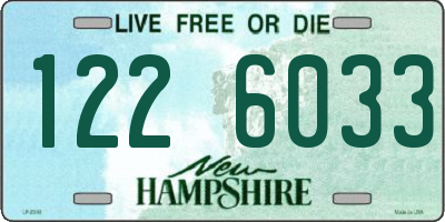 NH license plate 1226033