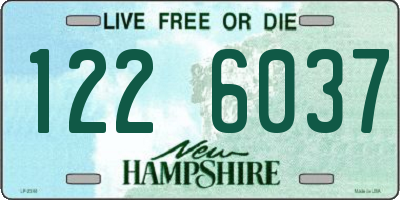 NH license plate 1226037