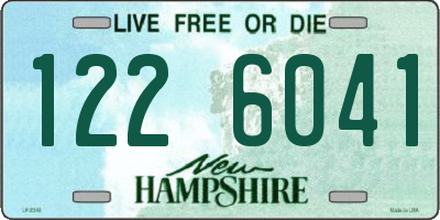 NH license plate 1226041