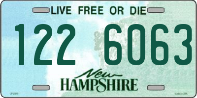 NH license plate 1226063