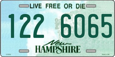 NH license plate 1226065
