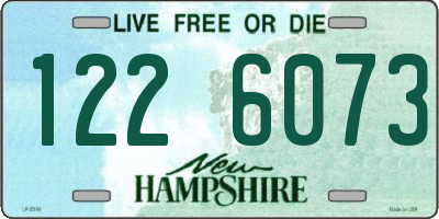 NH license plate 1226073