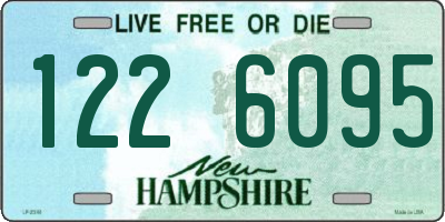 NH license plate 1226095