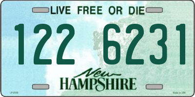 NH license plate 1226231