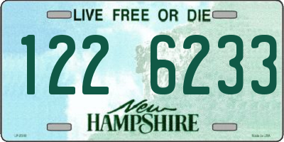 NH license plate 1226233