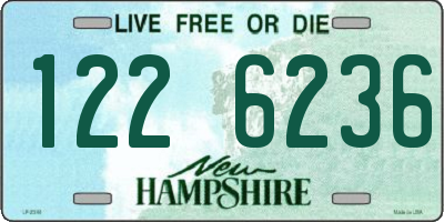 NH license plate 1226236