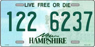 NH license plate 1226237