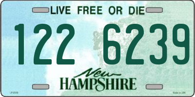 NH license plate 1226239