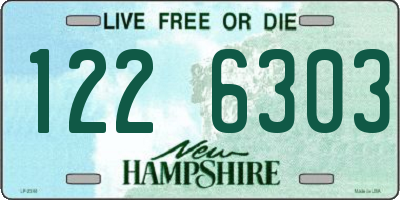 NH license plate 1226303