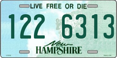 NH license plate 1226313