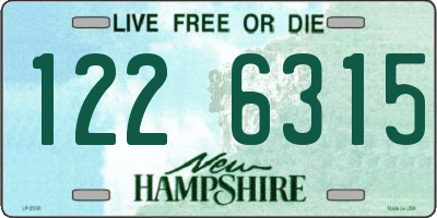 NH license plate 1226315