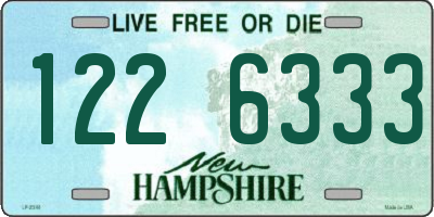 NH license plate 1226333