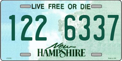 NH license plate 1226337