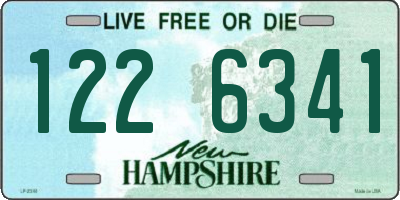 NH license plate 1226341