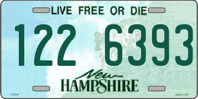 NH license plate 1226393