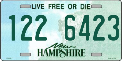 NH license plate 1226423
