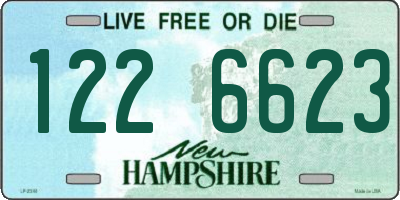 NH license plate 1226623