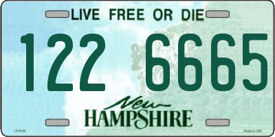 NH license plate 1226665