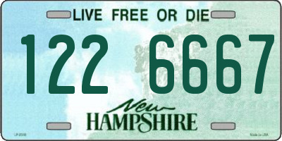 NH license plate 1226667
