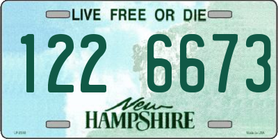 NH license plate 1226673