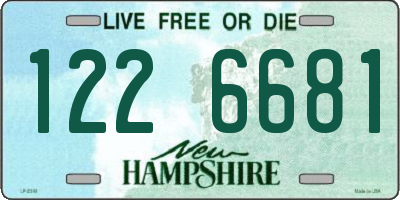 NH license plate 1226681