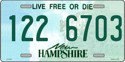 NH license plate 1226703