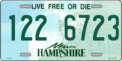 NH license plate 1226723