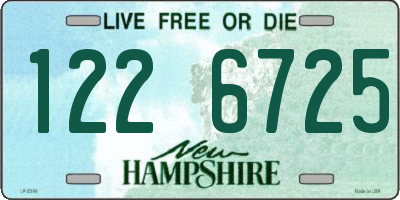NH license plate 1226725