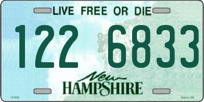 NH license plate 1226833