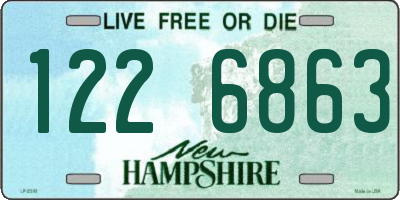 NH license plate 1226863