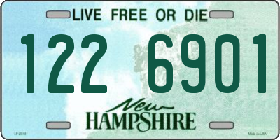 NH license plate 1226901