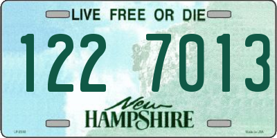 NH license plate 1227013
