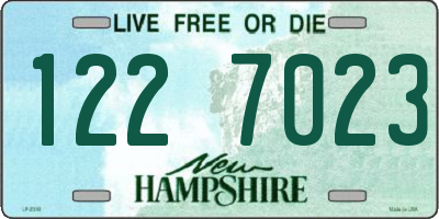 NH license plate 1227023