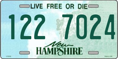NH license plate 1227024