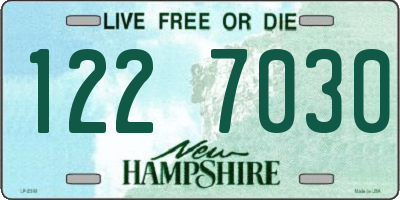 NH license plate 1227030
