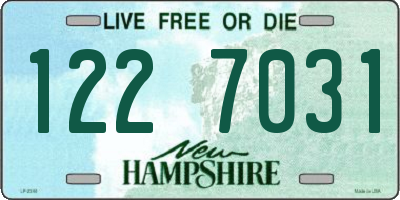 NH license plate 1227031