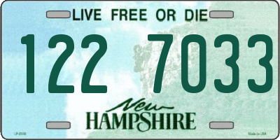 NH license plate 1227033