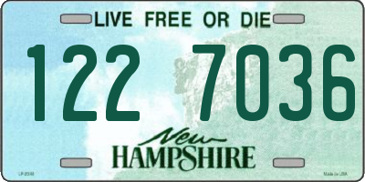 NH license plate 1227036