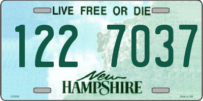 NH license plate 1227037