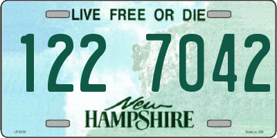 NH license plate 1227042