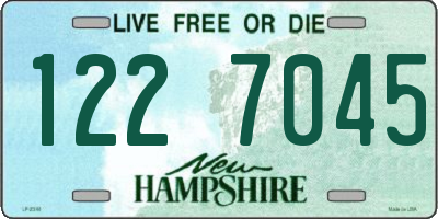NH license plate 1227045