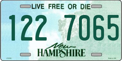 NH license plate 1227065
