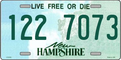 NH license plate 1227073