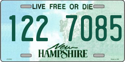NH license plate 1227085