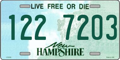 NH license plate 1227203
