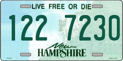 NH license plate 1227230