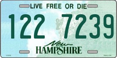 NH license plate 1227239
