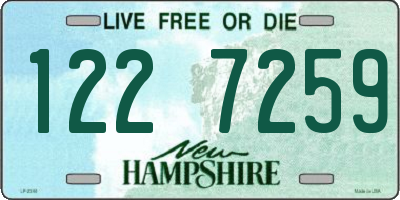 NH license plate 1227259